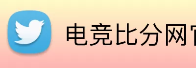 电竞比分网官网 logo